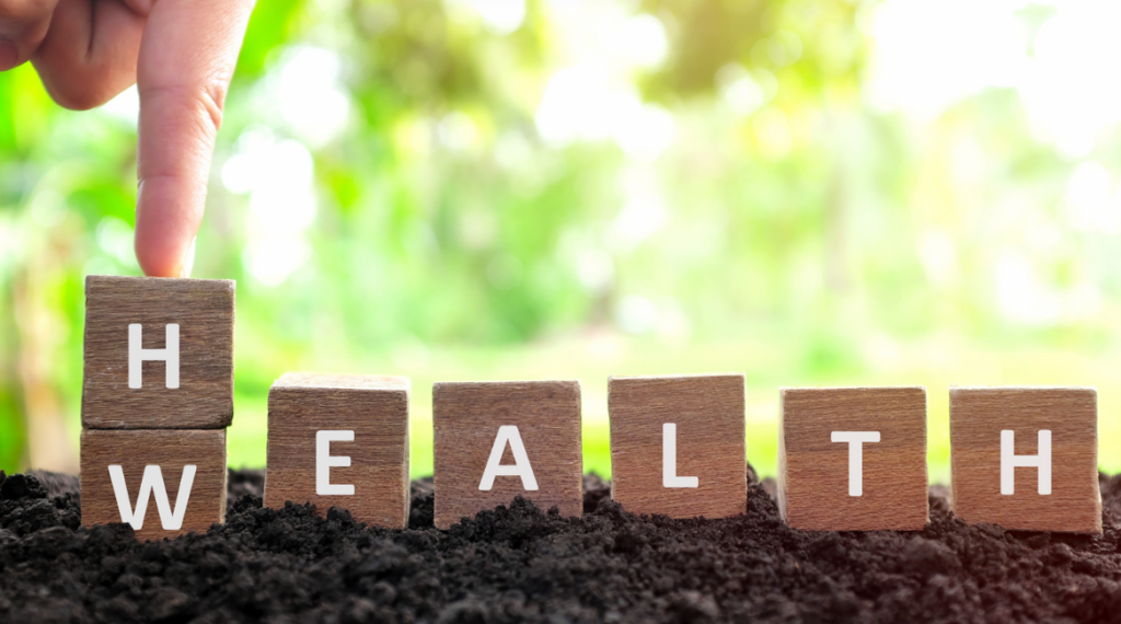 Health and wealth in retirement planning for long-term healthcare costs